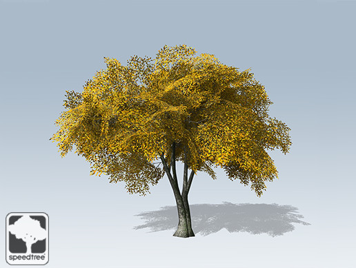 American Elm Mobile Fall