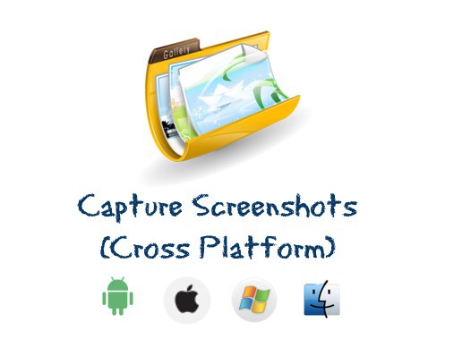 Capture and Save (Pro)
