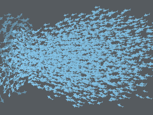 Fish Flock