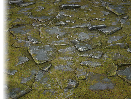 Grassy Stone Road Texture 02