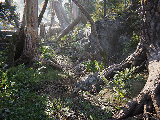 Book Of The Dead: Environment
