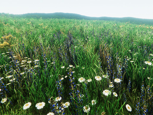 PBR Grass Flowers Pack