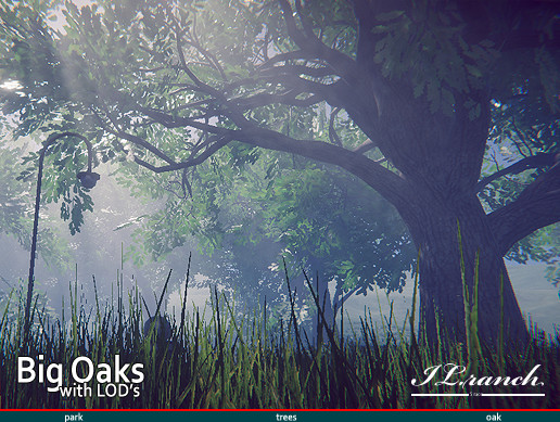 Big Oaks