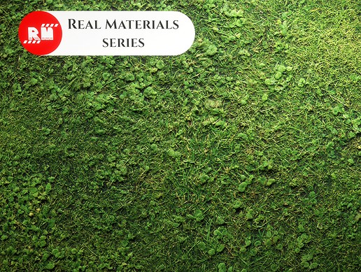Ground Grass