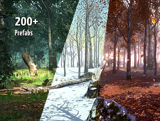 Seasonal Forest