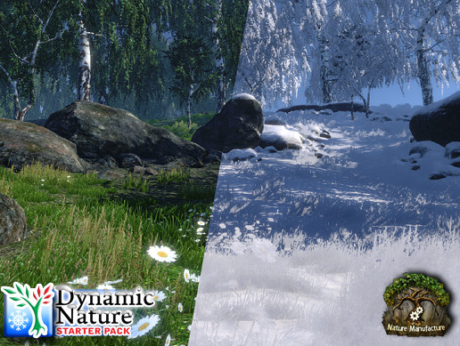 Dynamic Nature - Starter