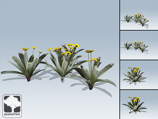 Frailejon Package