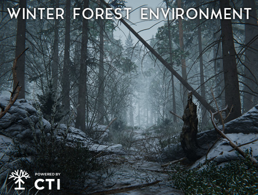 Winter Forest Environment