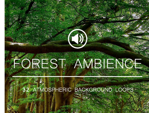 Ambient Background Sounds