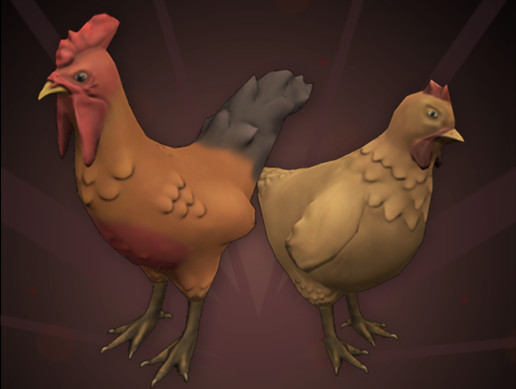 Chickens | Farm Animals