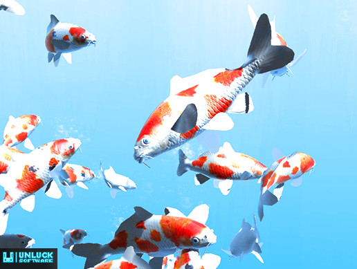 Fish School Koi