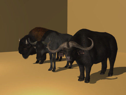 PIDI - Wild Beasts, Pack 1