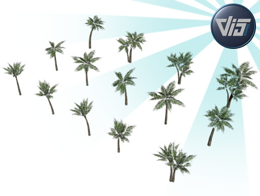 Palm trees