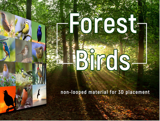 Forest Birds
