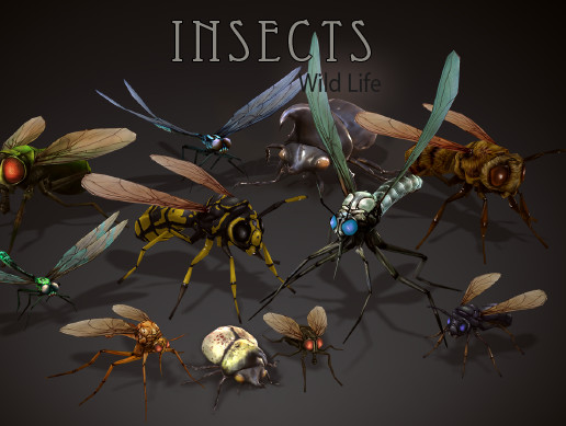 Wild Life - Insects