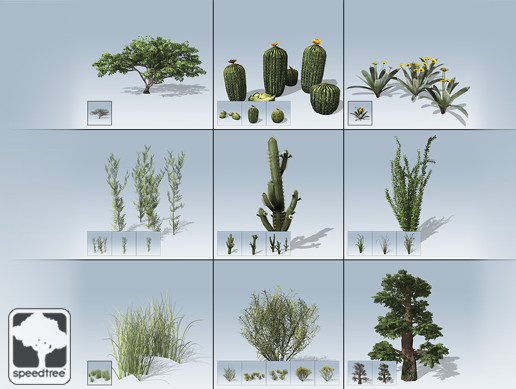Desktop Desert Package