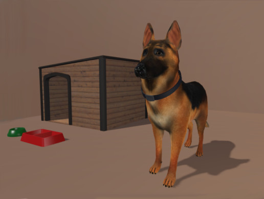 PIDI - German Shepherd Dog