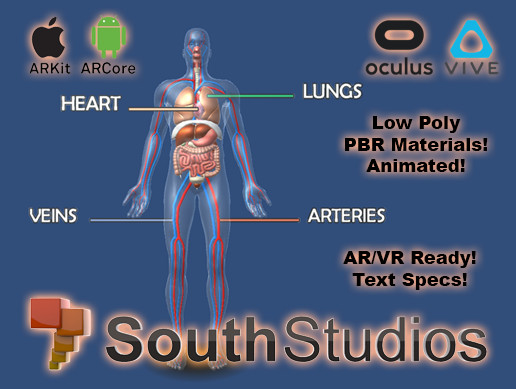 Animated Human Respiratory System AR VR