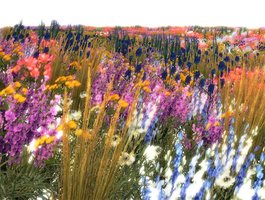 Grass & Flowers vol.01