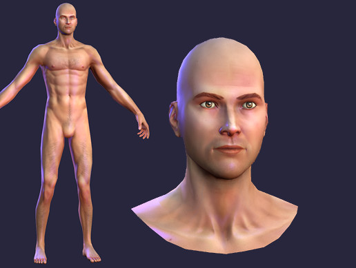 Human Male Character