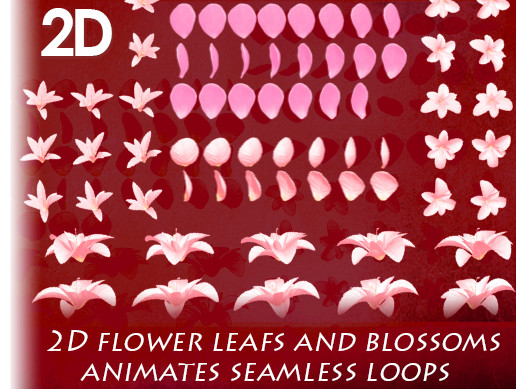2D Flowers and Flower Petals