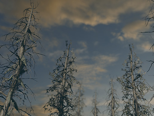 Nature Assets - Swamp Trees