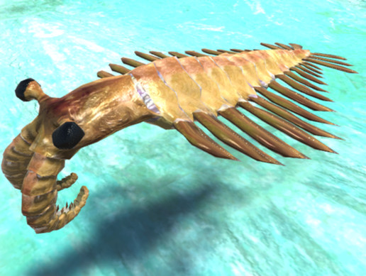 Anomalocaris
