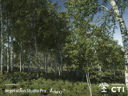 Birch Trees Package