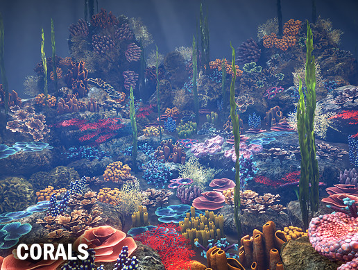 Corals