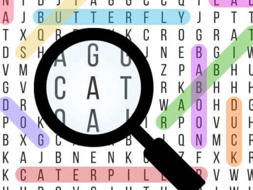 Word Search Game