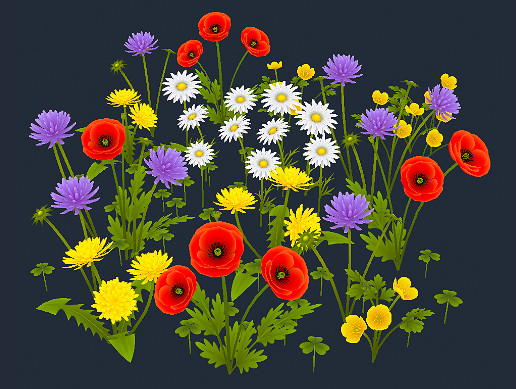Meadow Flowers
