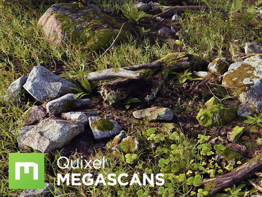 Megascans Valley Collection HD