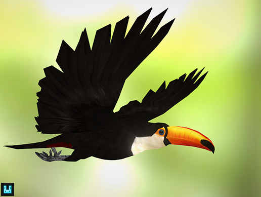 Bird Flock Toucan