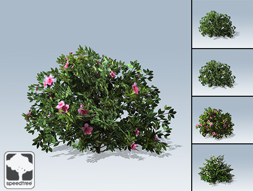 Azalea Package