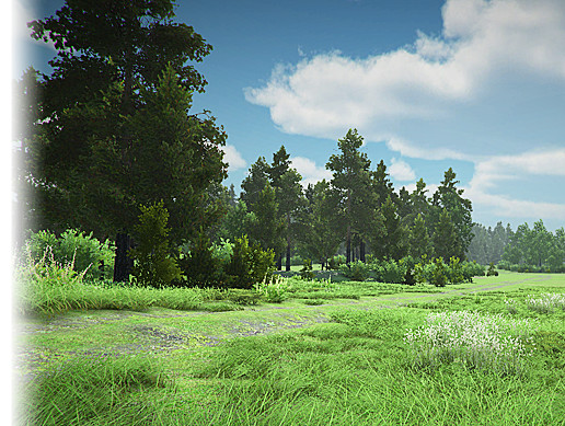 Realistic Forest Pack