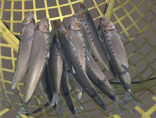 Sardine