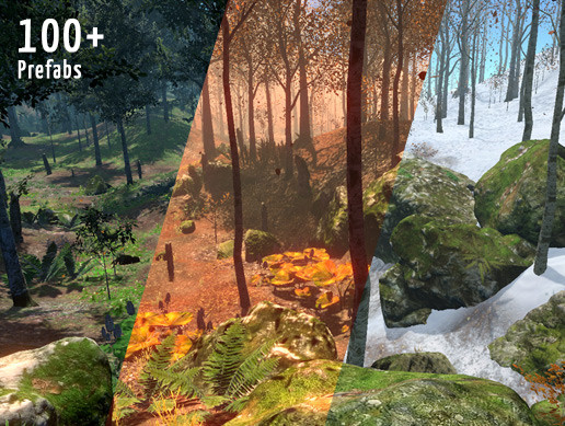 Seasonal Forest