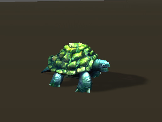 Forest Turtle
