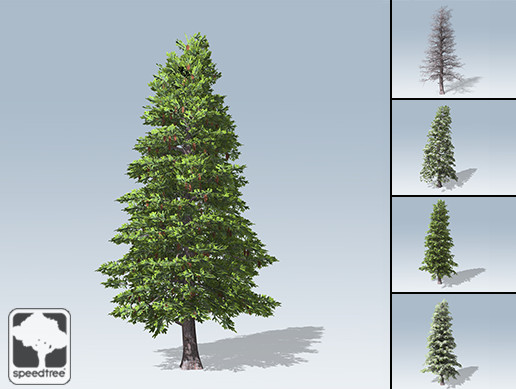 Red Spruce Package