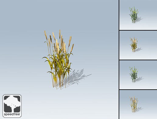 Wheat Package
