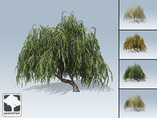 Weeping Willow Package