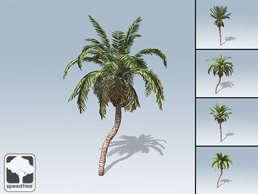 Date Palm Package