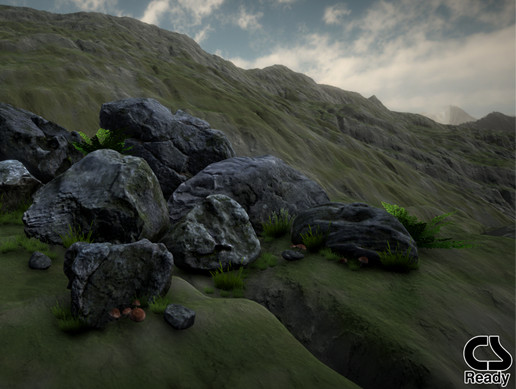 Mossy Rocks and Boulders