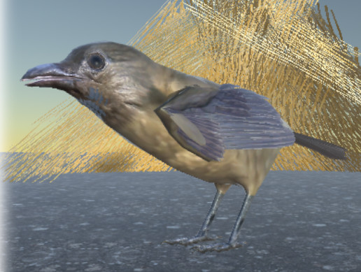 Vogelkop Bowerbird