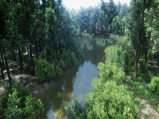 Oak Forest Environment
