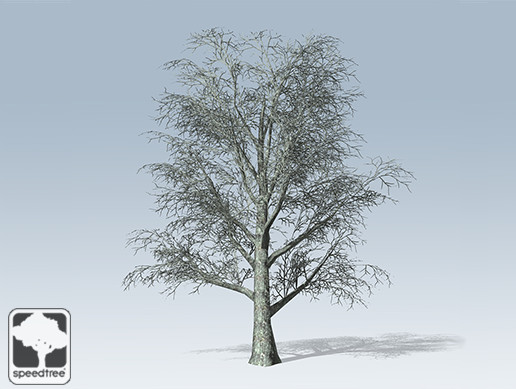 White Oak Mobile Winter