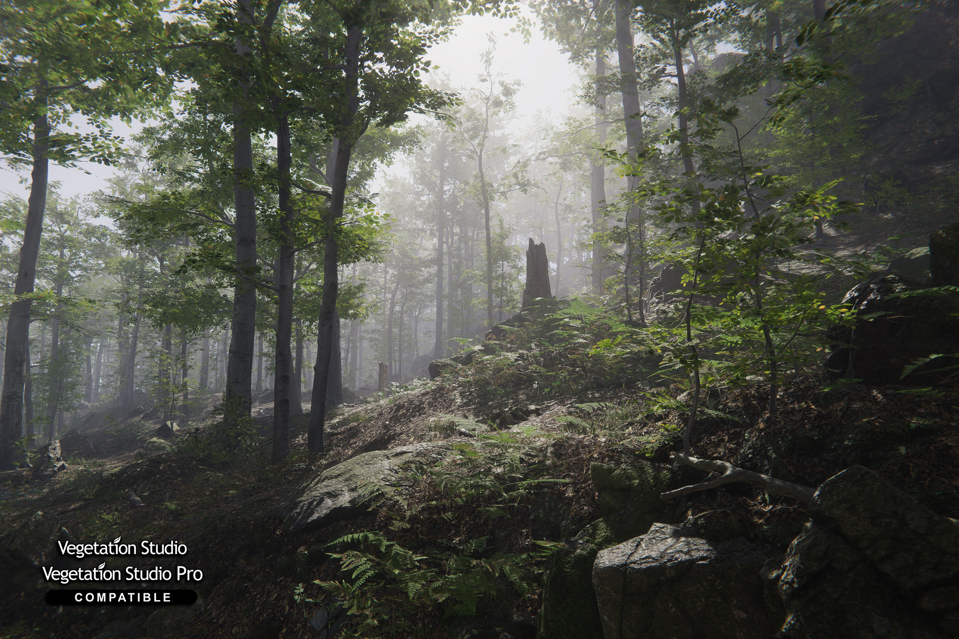 Forest Environment - Dynamic Nature