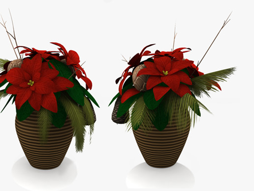 Christmas Poinsettia