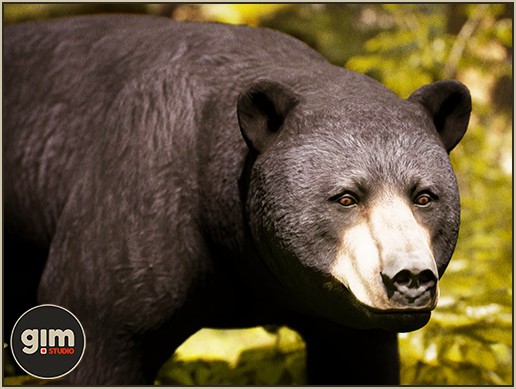 Animalia - Black Bear M