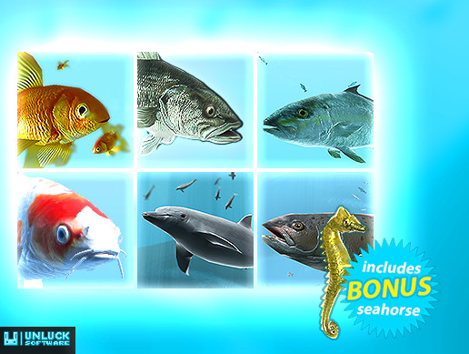 Fish School Bundle